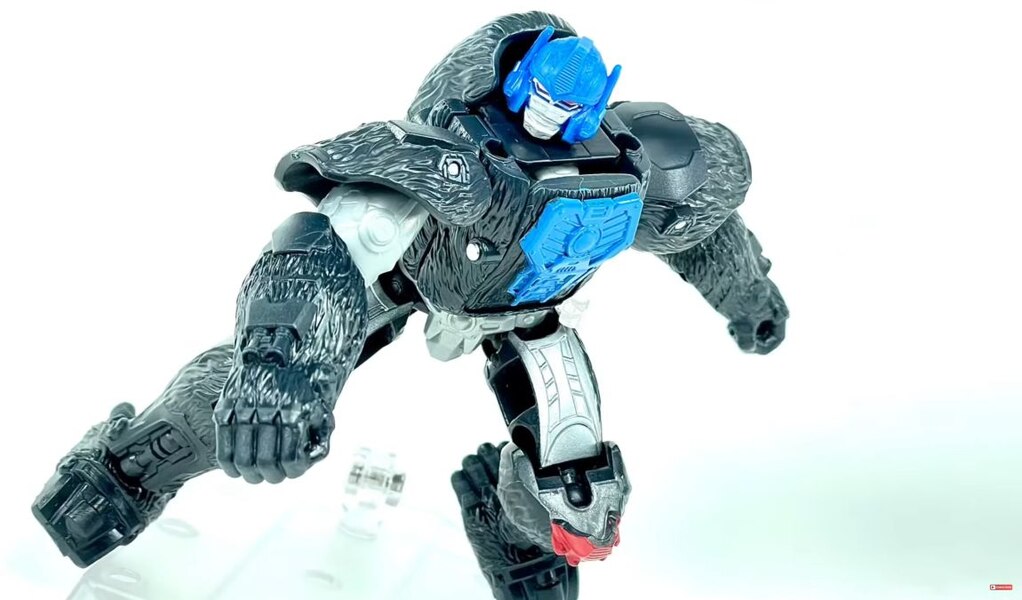 Transformers Authentics Optimus Primal Bravo Class In Hand Images